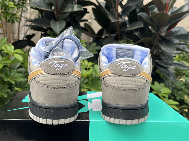 Authentic  Concepts x Nike SB Dunk Low 