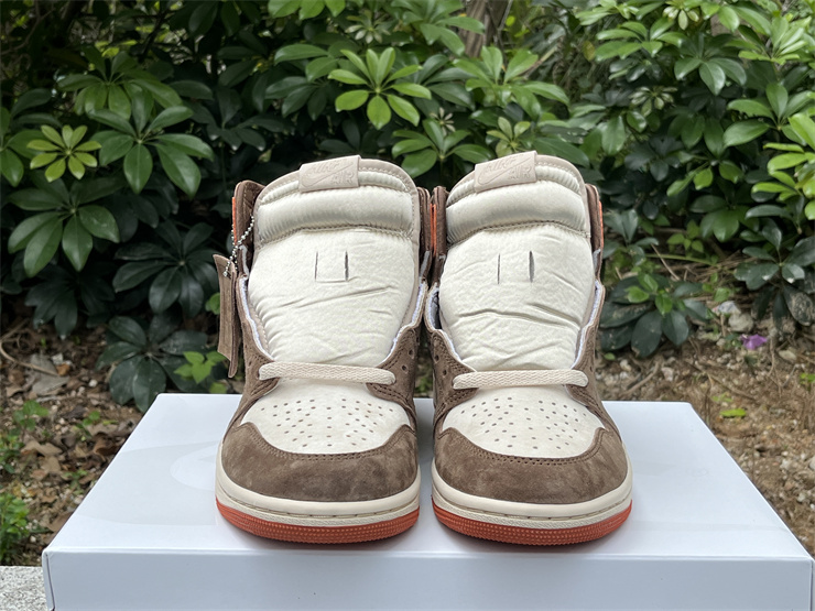 Authentic Air Jordan 1 High OG WMNS “Dusted Clay”