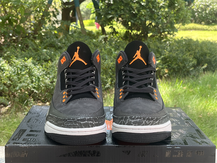 Authentic Air Jordan 3 “Fear”