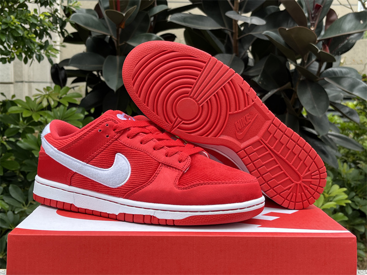 Authentic Nike Dunk Low GS 