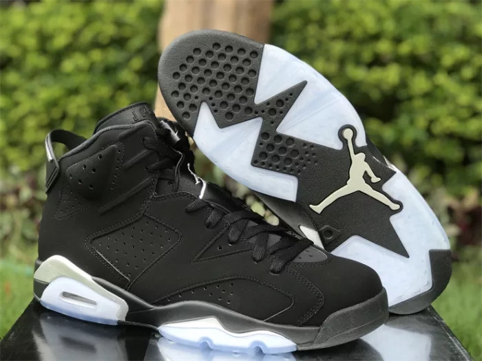 Authentic Air Jordan 6 “Metallic Silver”