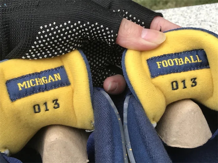 Authentic Air Jordan 4 PE Michigan 