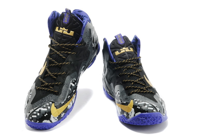 LeBron James 11-005