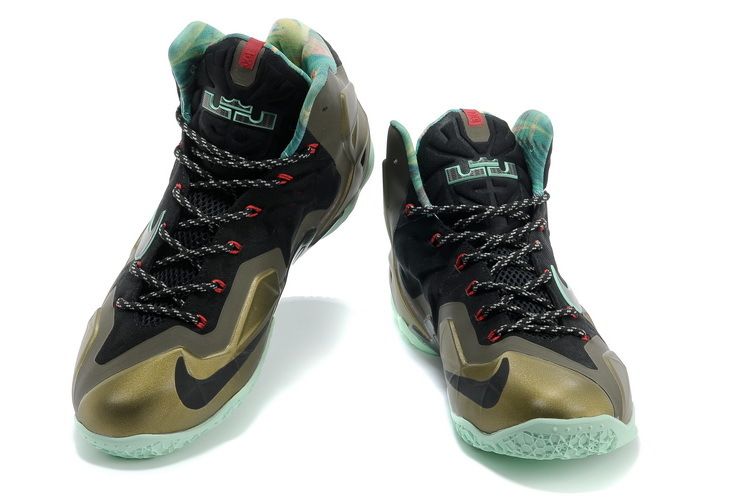 LeBron James 11-006