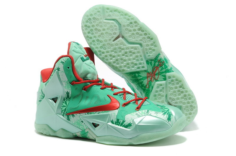 LeBron James 11-011