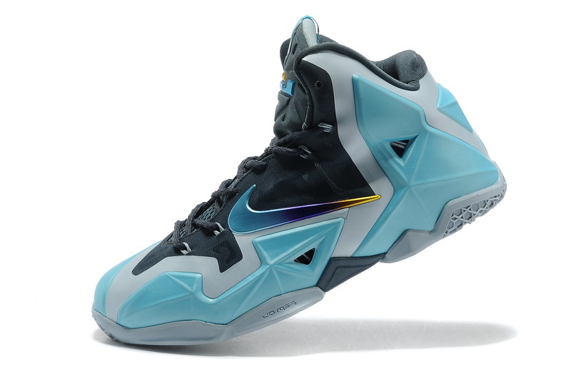 LeBron James 11-016