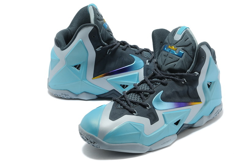 LeBron James 11-016