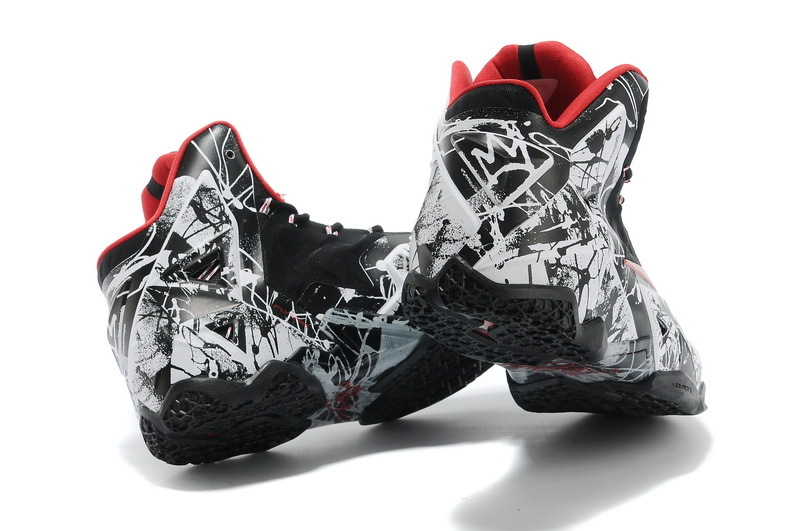 LeBron James 11-018