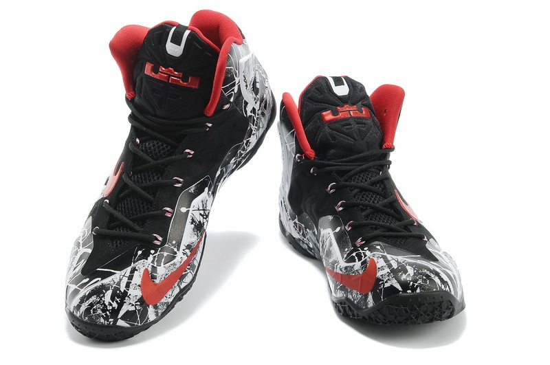 LeBron James 11-018