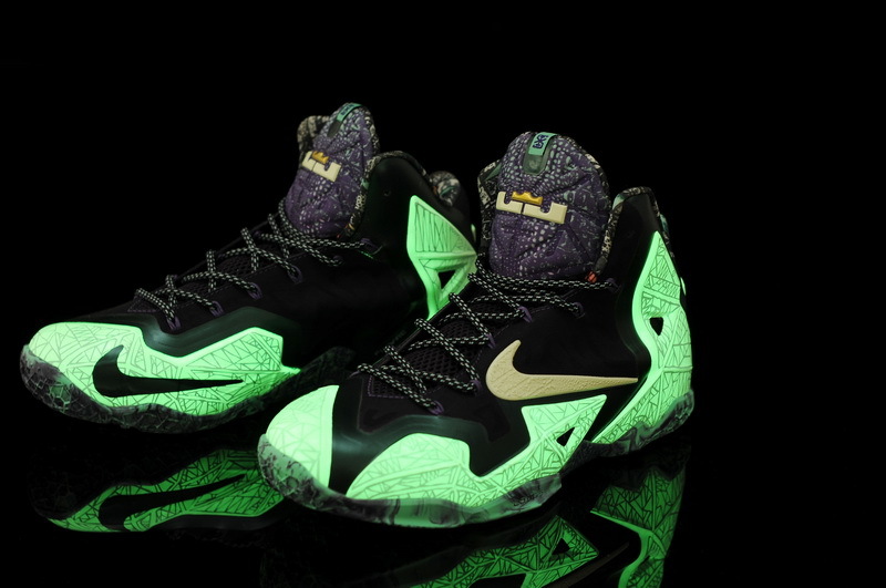 LeBron James 11-019