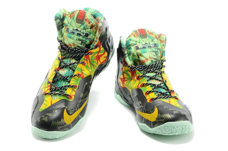 LeBron James 11-026