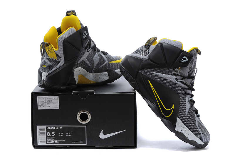 LeBron James 12-006