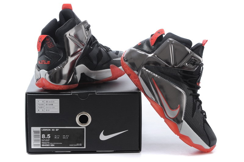 LeBron James 12-009