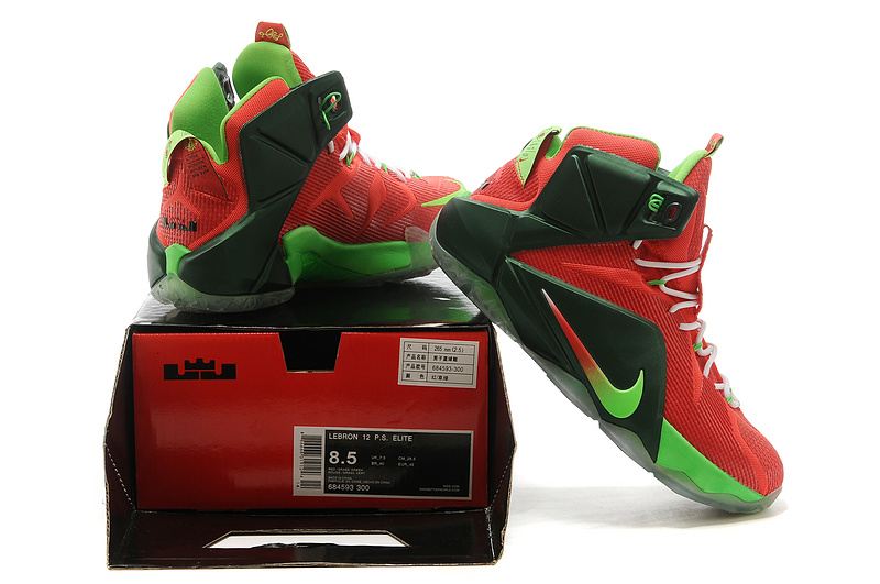 LeBron James 12-011