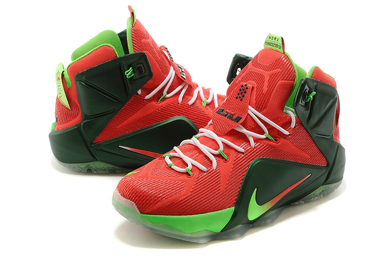 LeBron James 12-011