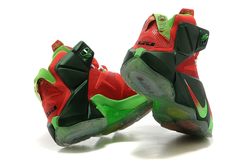 LeBron James 12-011