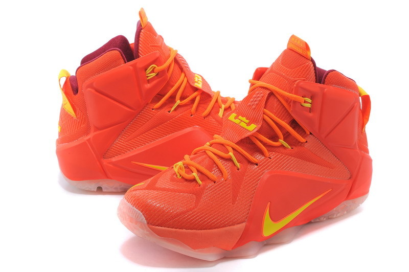 LeBron James 12-013