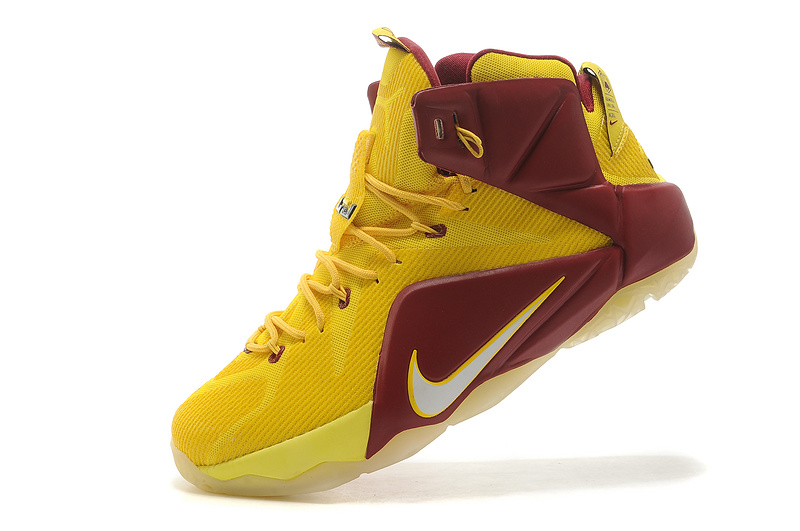 LeBron James 12-014