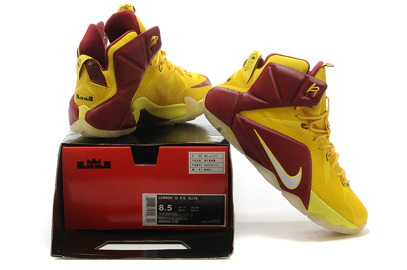 LeBron James 12-014