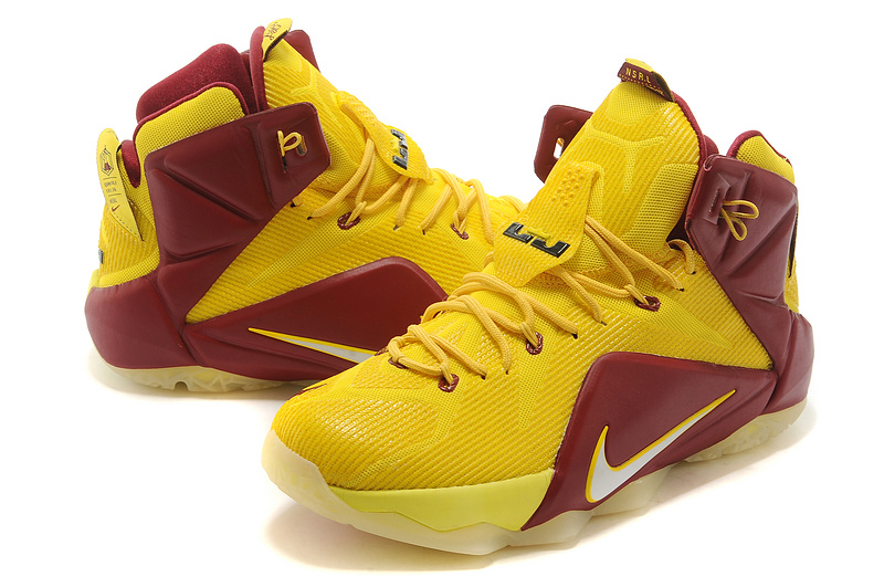 LeBron James 12-014