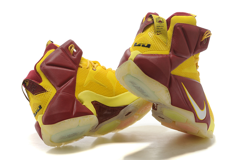 LeBron James 12-014