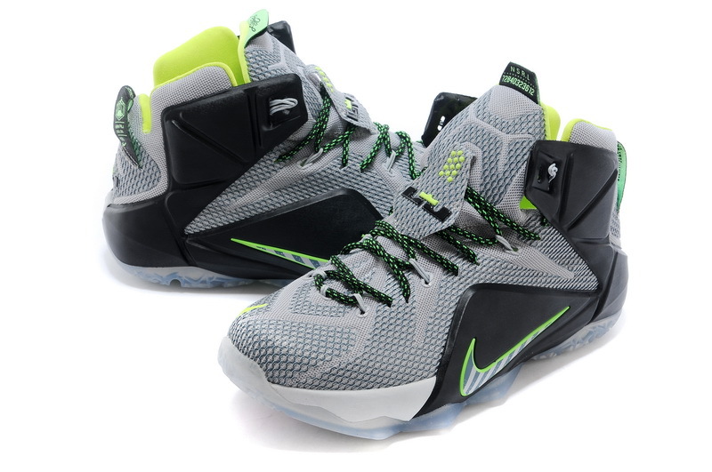 LeBron James 12-015