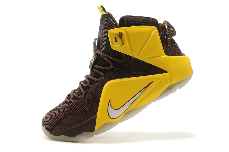 LeBron James 12-020