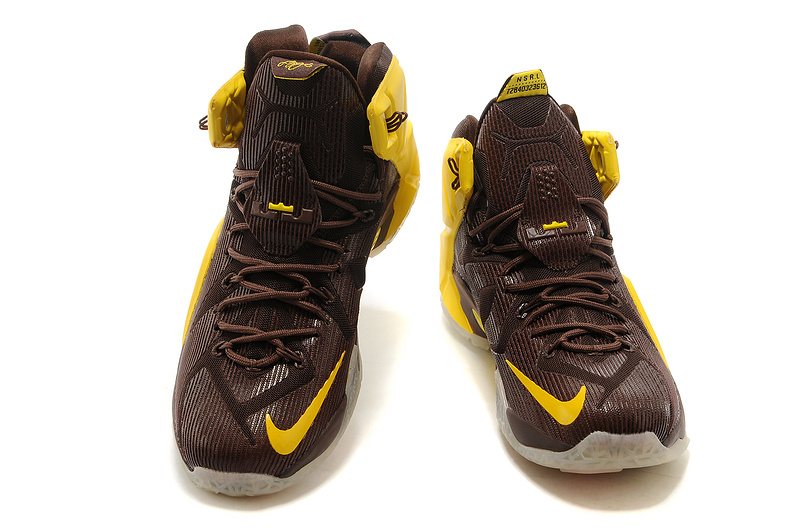 LeBron James 12-020