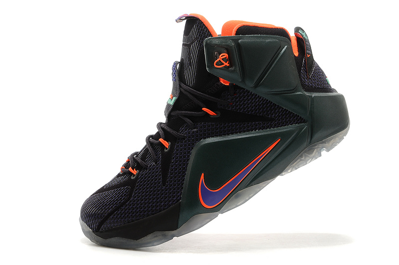 LeBron James 12-024