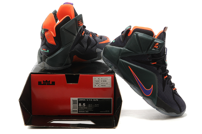 LeBron James 12-024