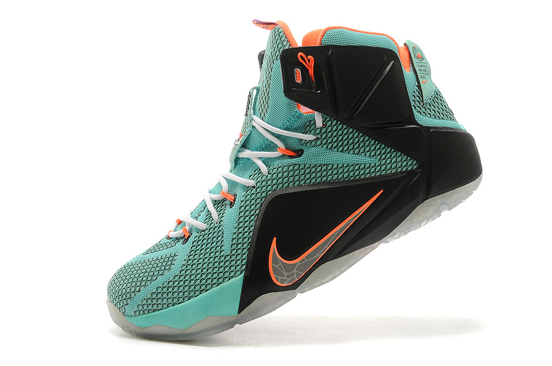 LeBron James 12-028