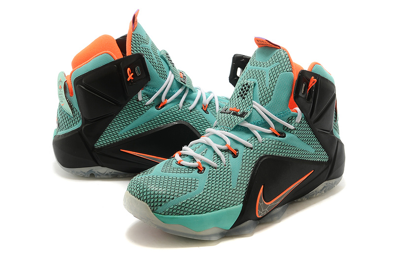 LeBron James 12-028