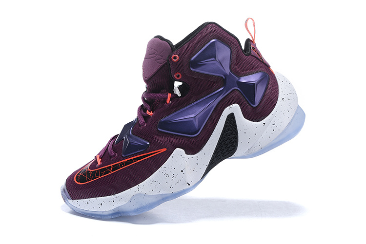 LeBron James 13-007