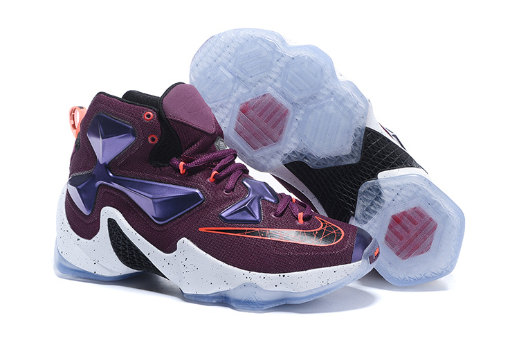 LeBron James 13-007