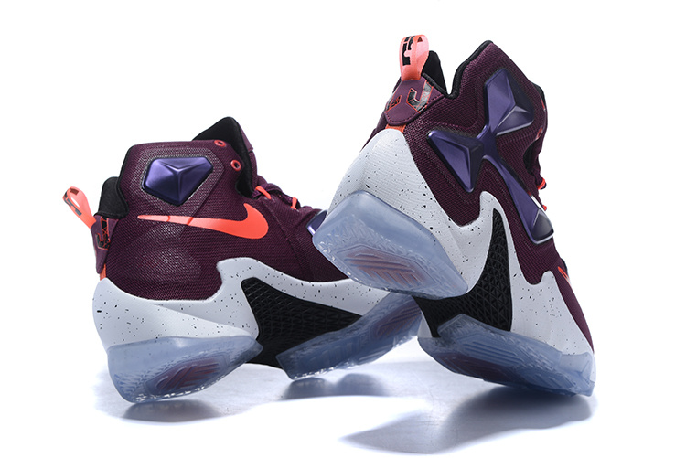 LeBron James 13-007