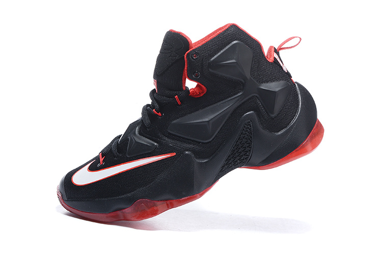 LeBron James 13-008