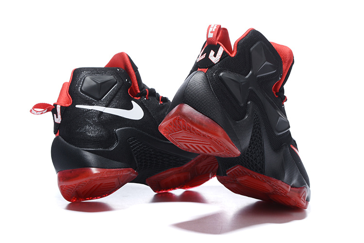 LeBron James 13-008