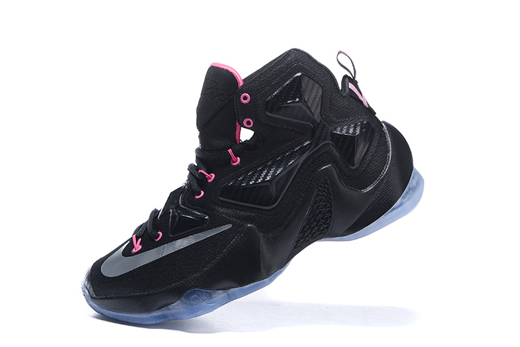 LeBron James 13-010