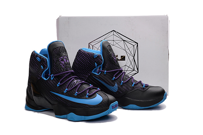 LeBron James 13-016