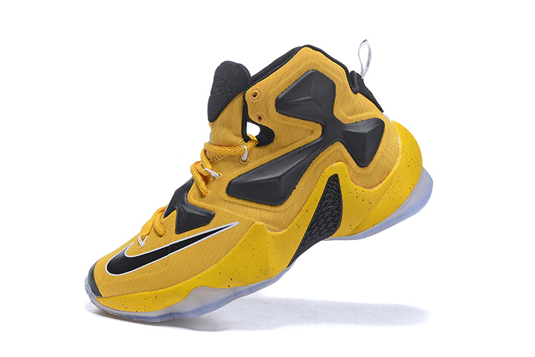 LeBron James 13-019