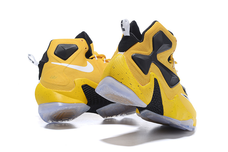 LeBron James 13-019