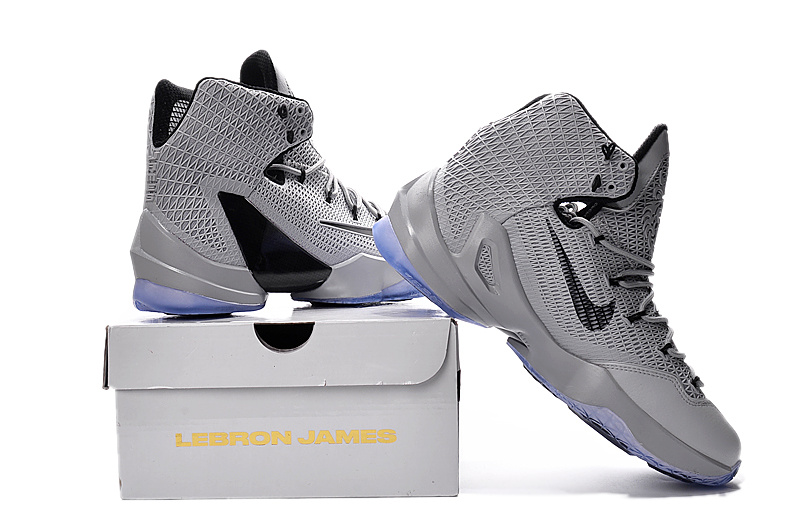 LeBron James 13-022