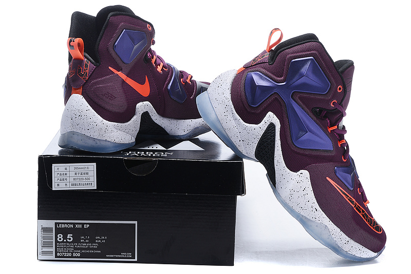 LeBron James 13-024