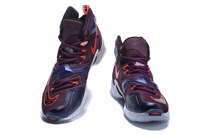 LeBron James 13-024