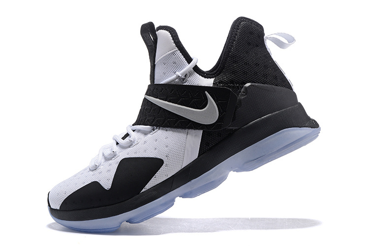 LeBron James 14-002