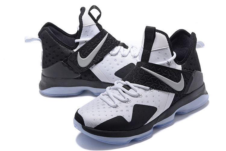 LeBron James 14-002