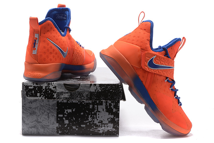 LeBron James 14-012