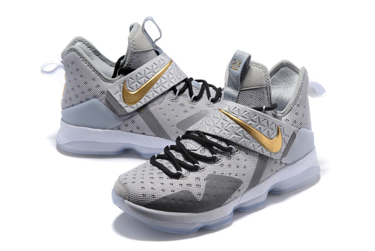 LeBron James 14-013