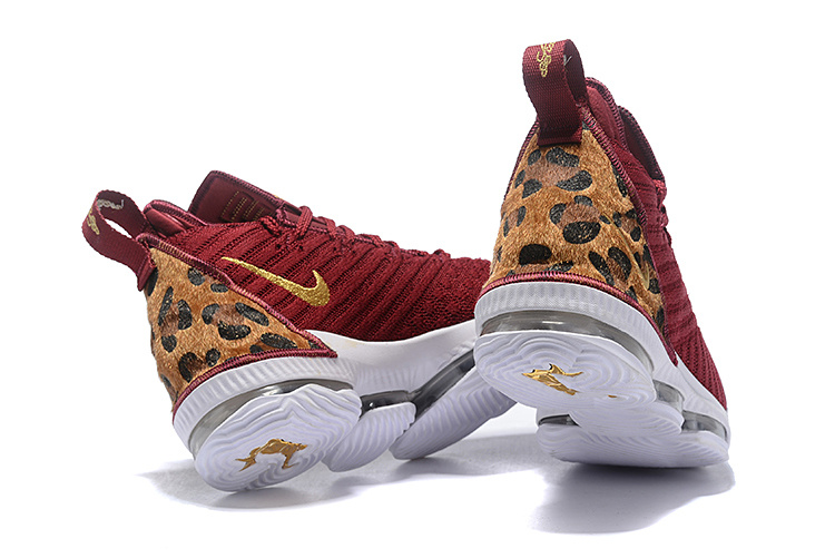 LeBron James 16-011