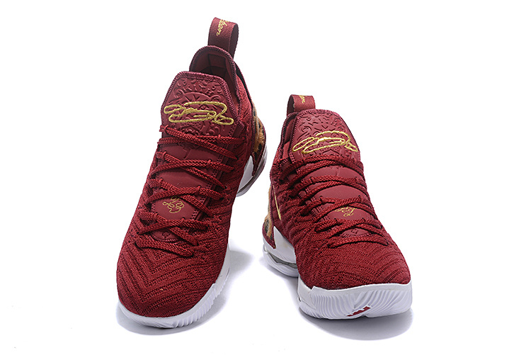 LeBron James 16-011